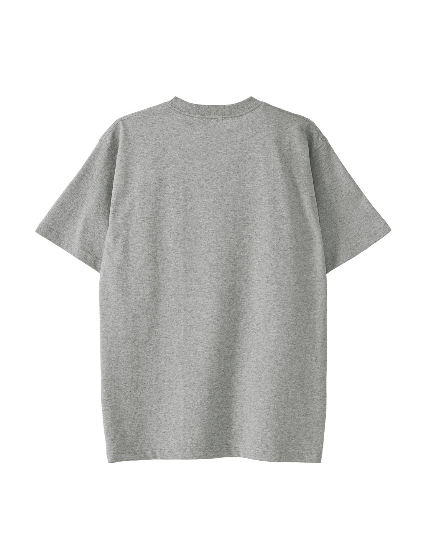 Albrecht Dürer gray image