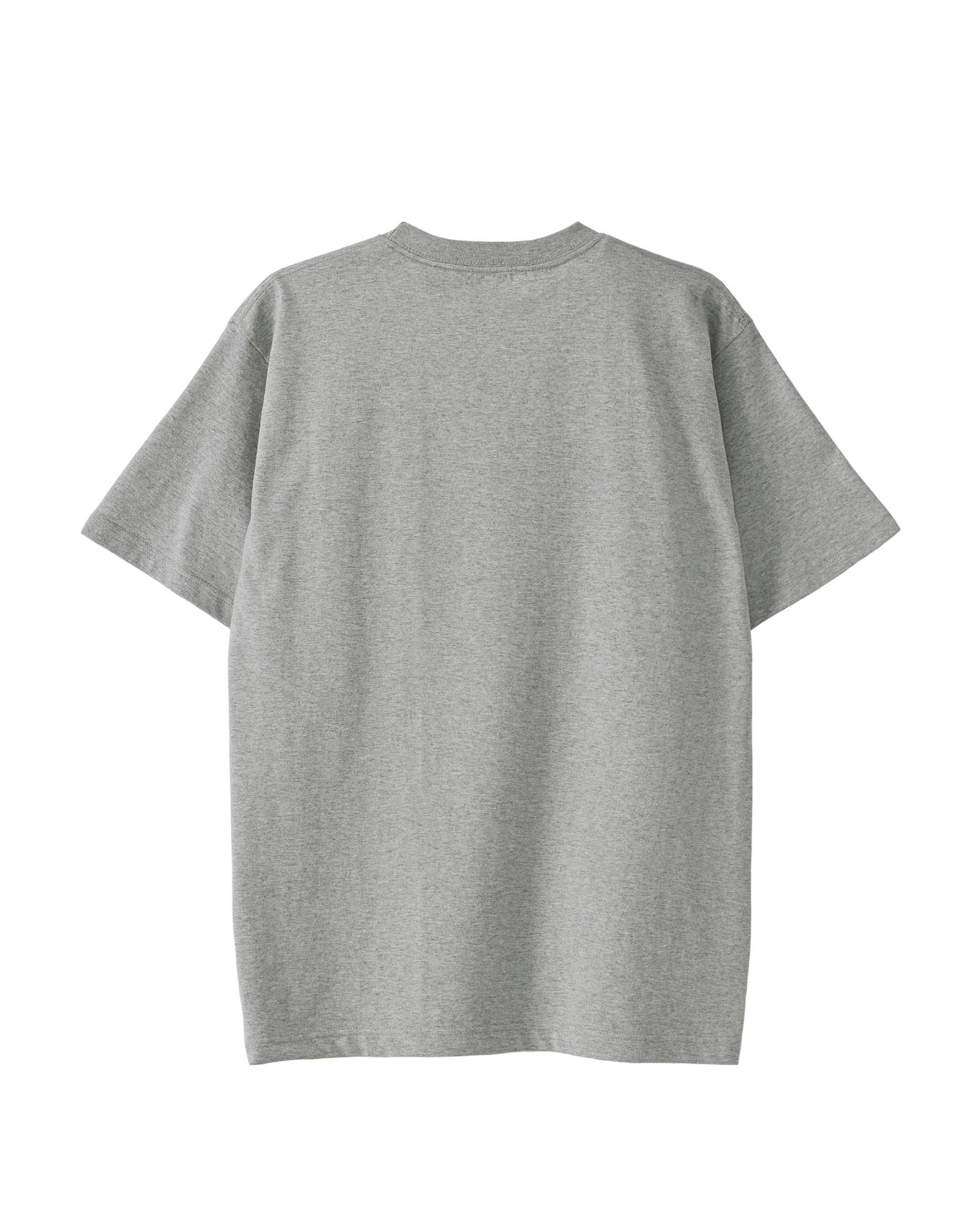 Albrecht Dürer gray image