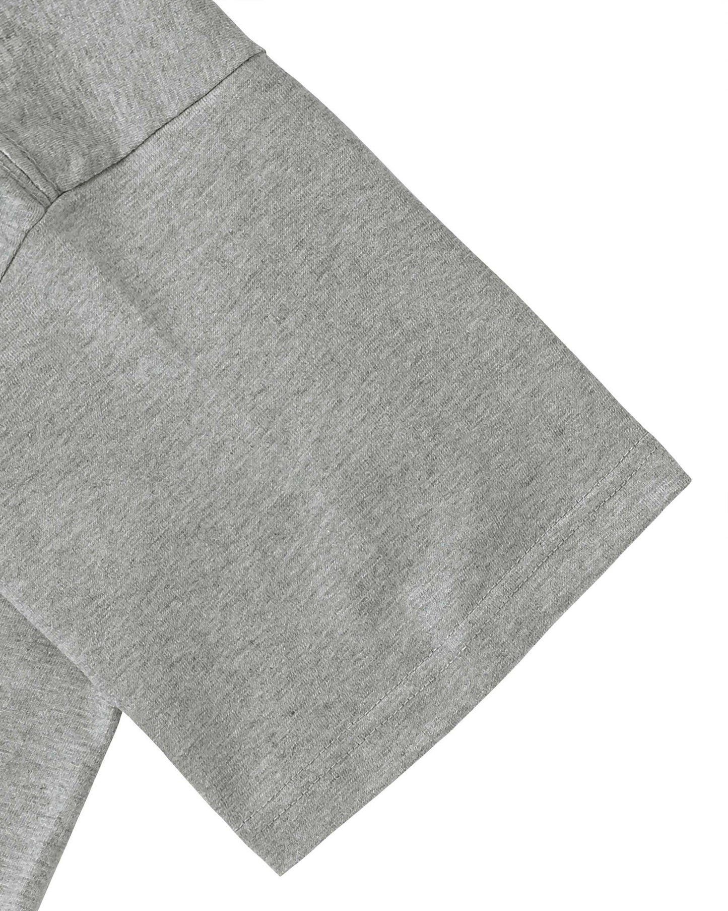 Albrecht Dürer gray image