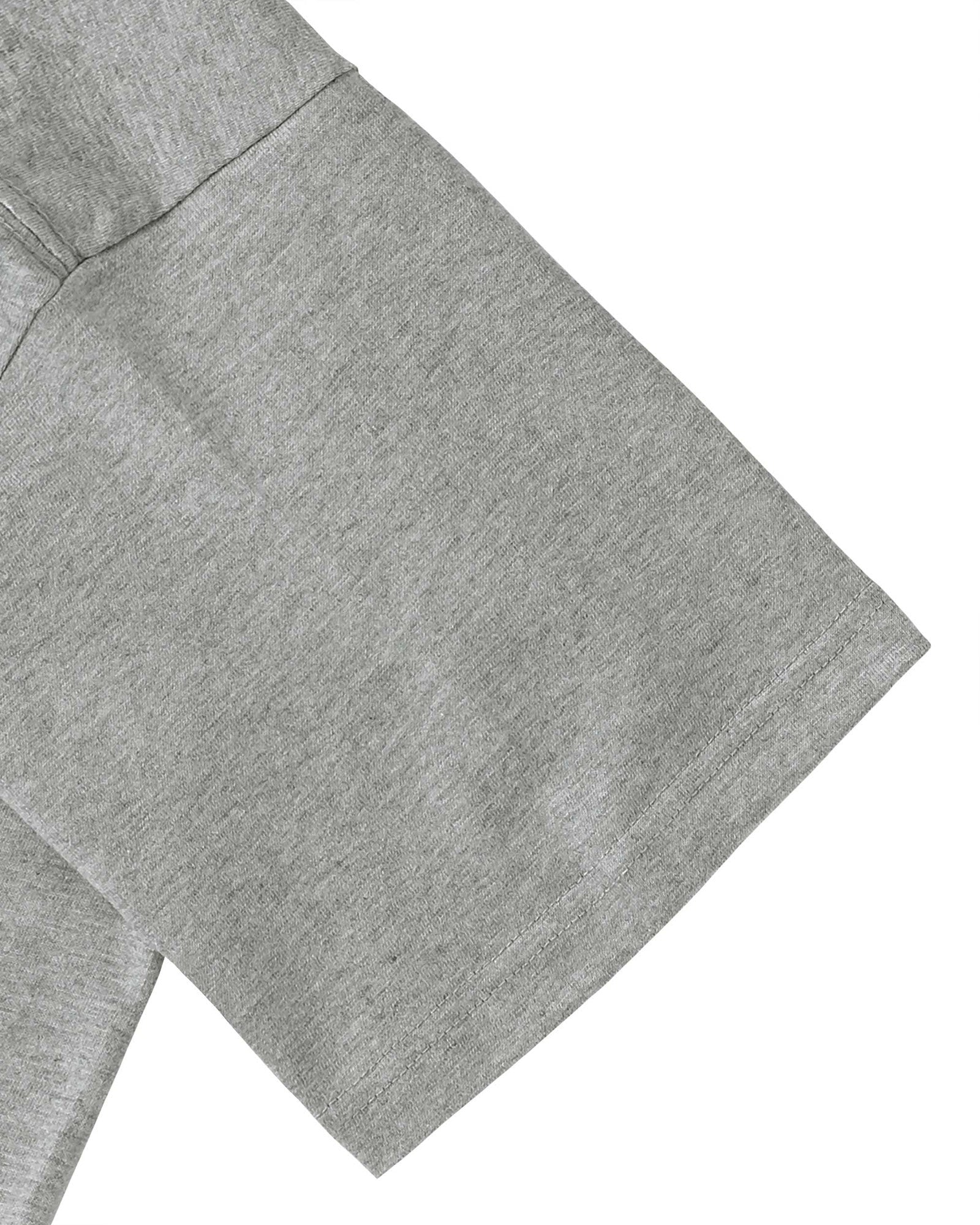 Albrecht Dürer gray image