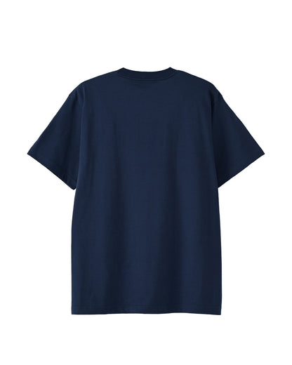 Ferdinand Hodler indigo image