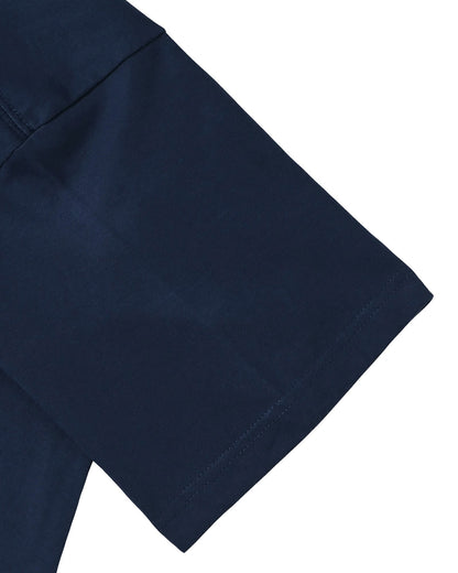 Ferdinand Hodler indigo image