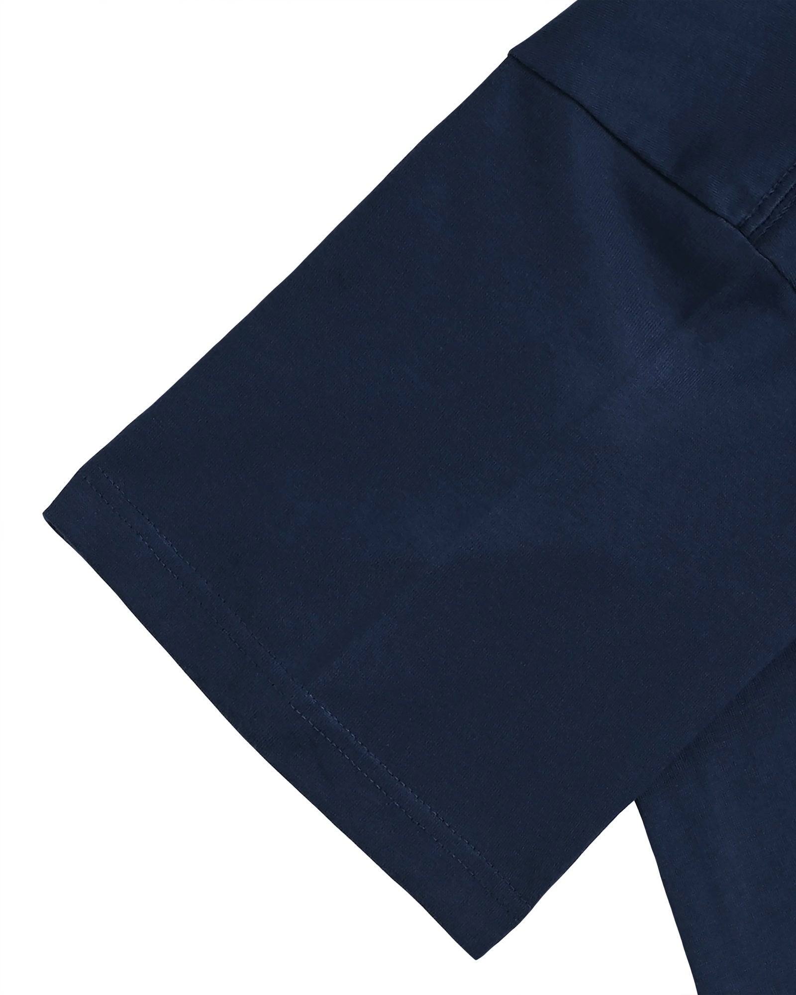 Ferdinand Hodler indigo image