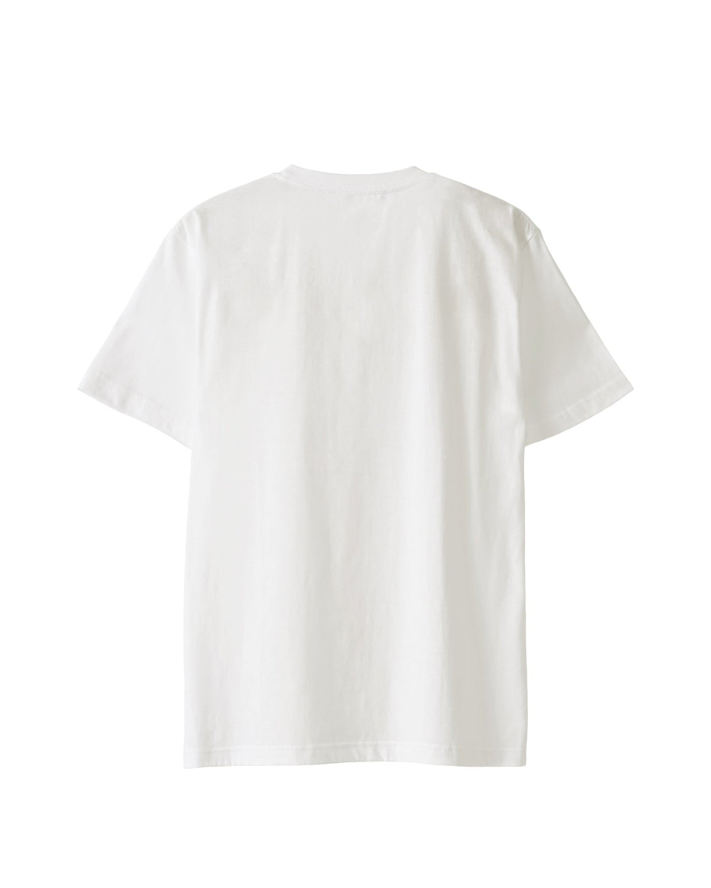 Ferdinand Hodler white image