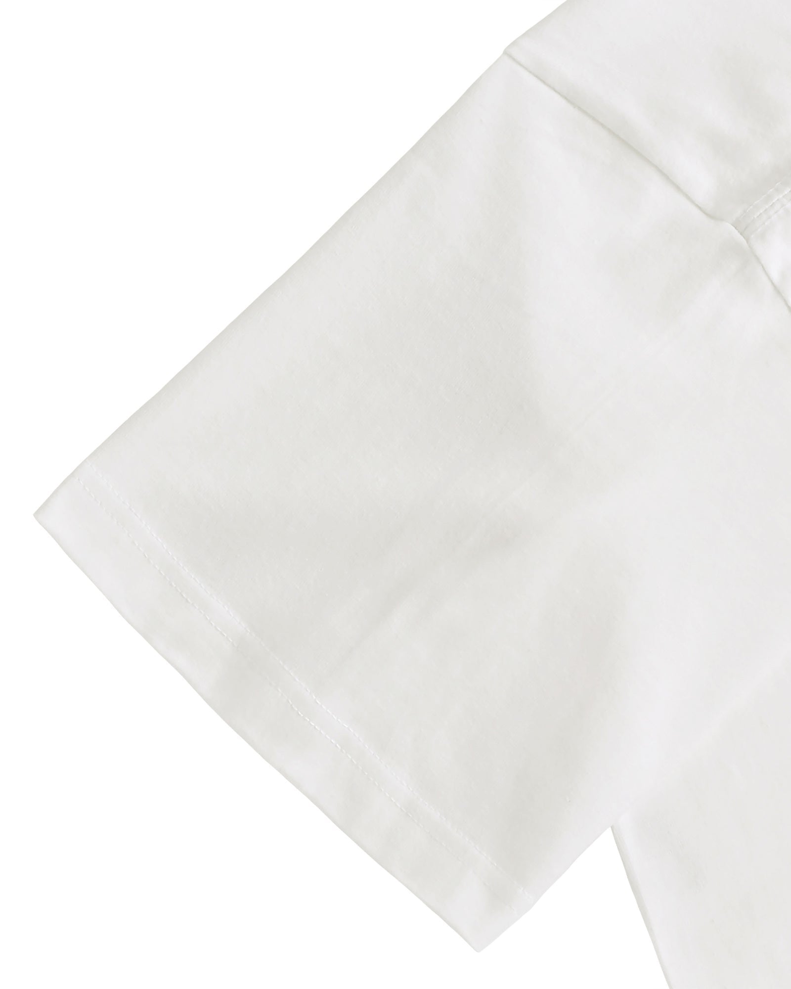 Albrecht Dürer white image