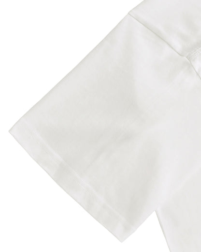 Albrecht Dürer white image