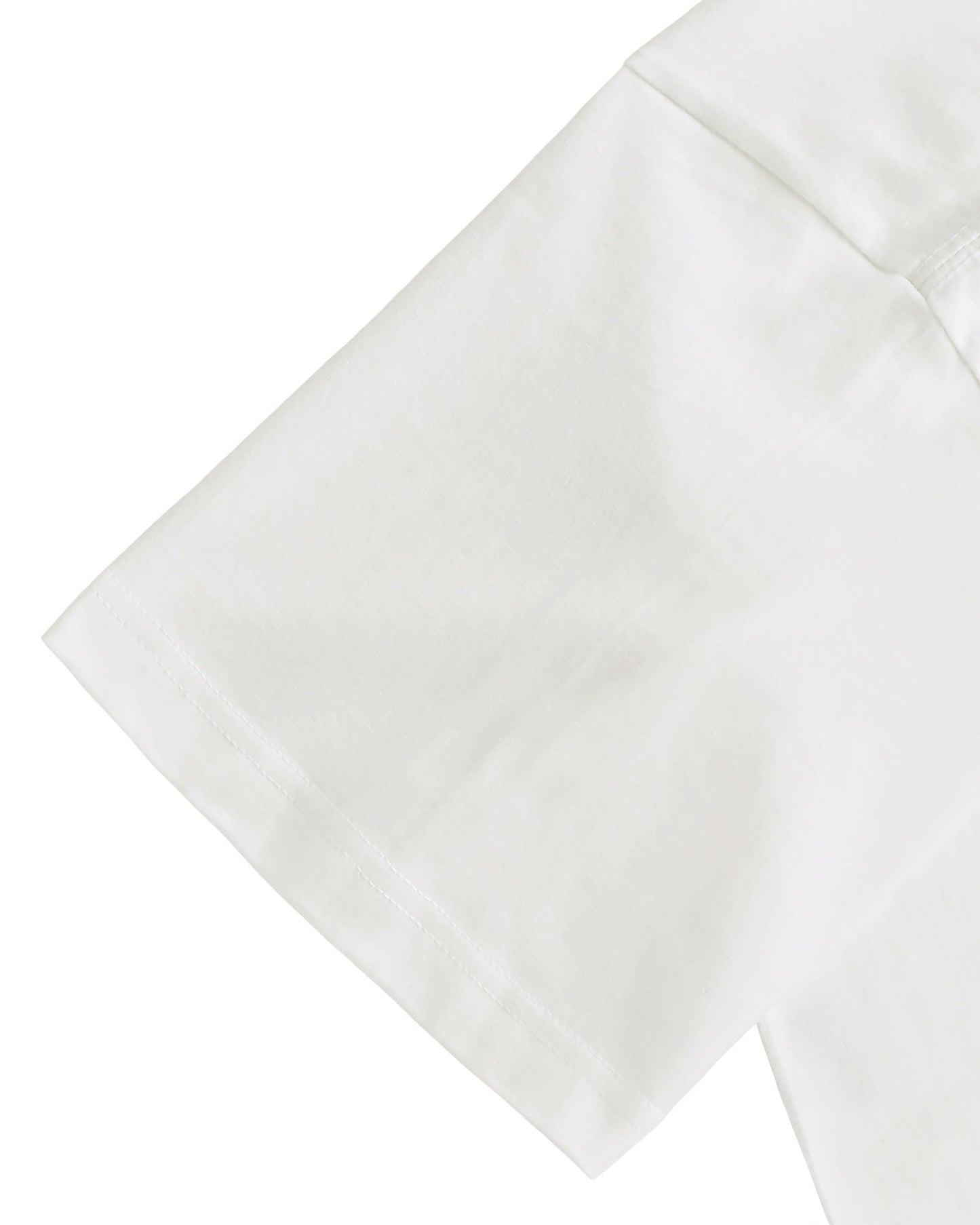 Ferdinand Hodler Art T-shirt