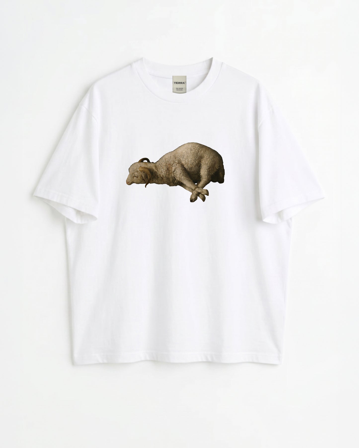 Francisco de Zurbarán Art boxy T-shirt