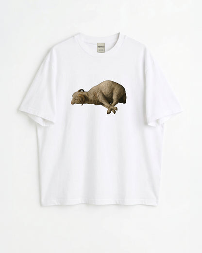 Francisco de Zurbarán Art boxy T-shirt