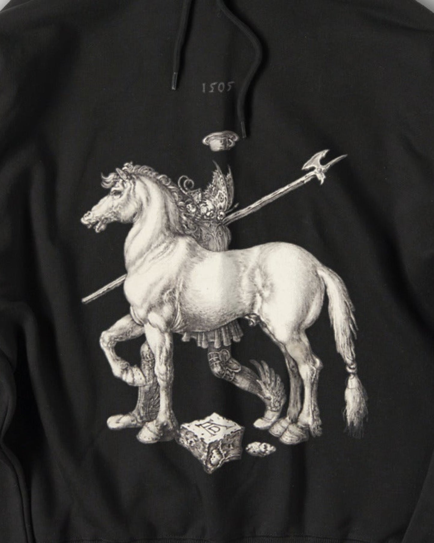 Albrecht Dürer Art Hoodie