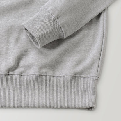 Albrecht Dürer gray image