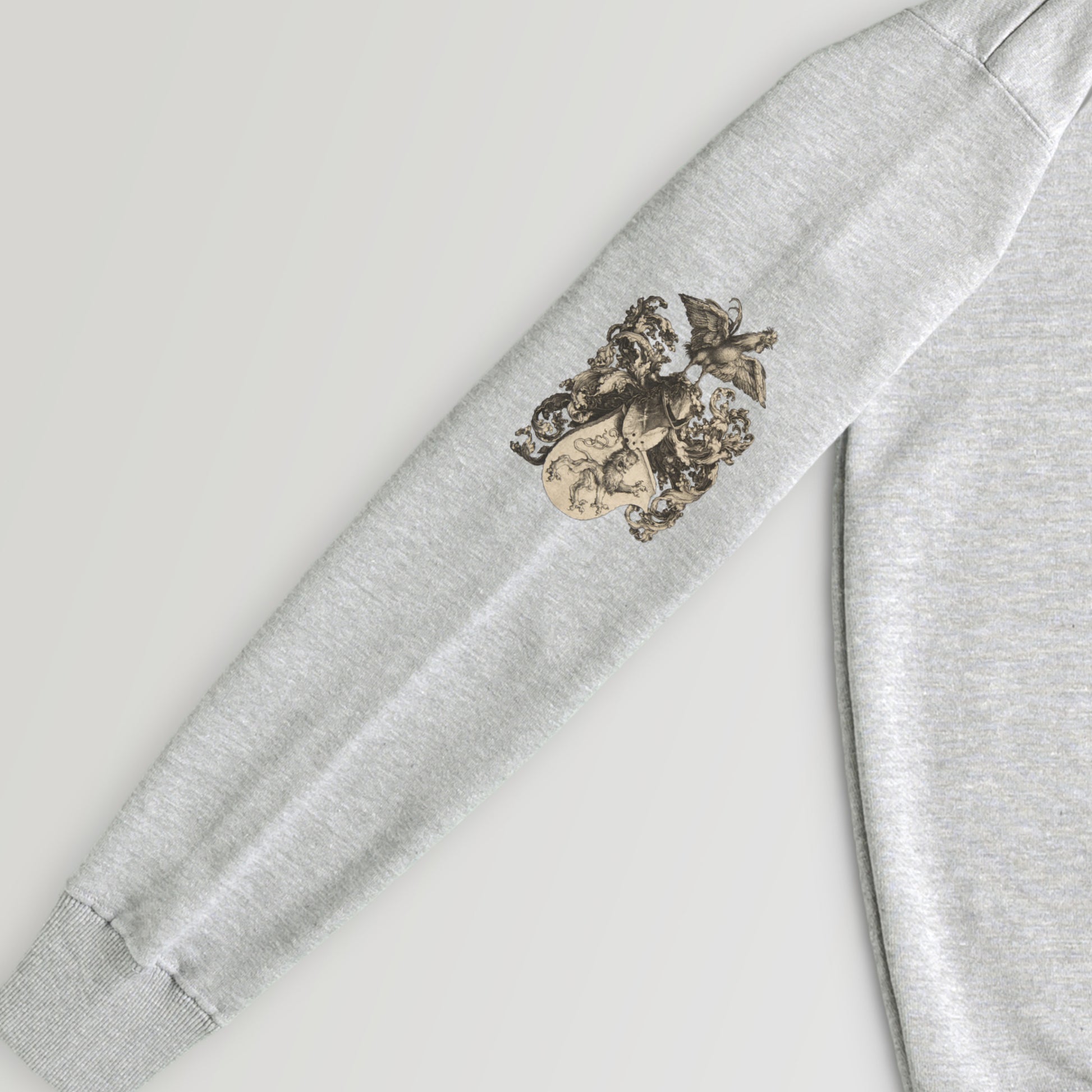 Albrecht Dürer gray image