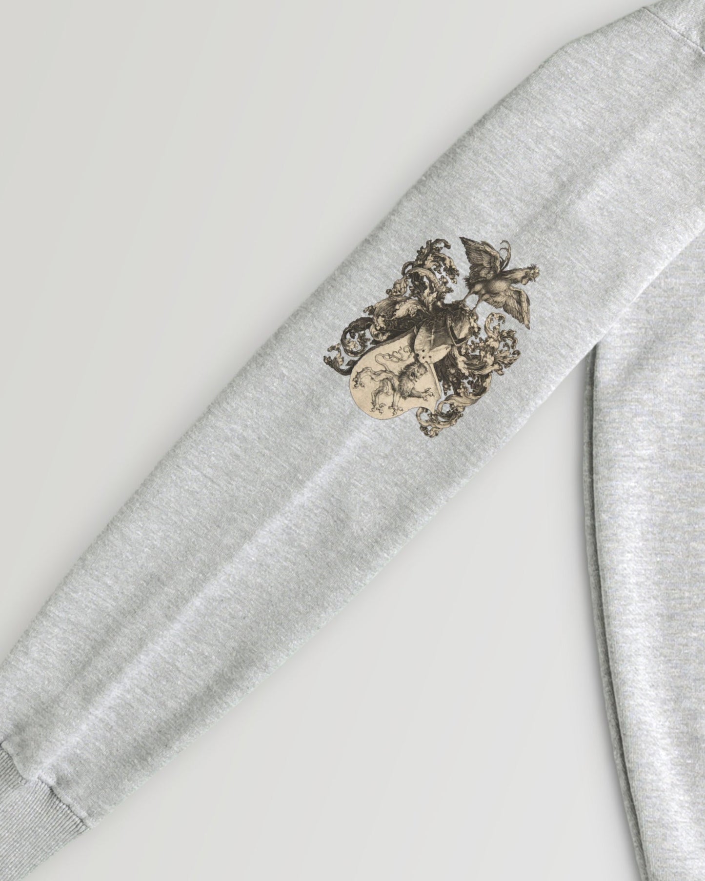 Albrecht Dürer gray image